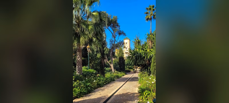 Allée bordée de palmiers menant à une tour en pierre dans le Jardin Andalou, Kasbah des Oudayas, Rabat
